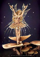 Fairy 33